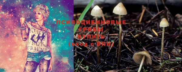 альфа пвп Богородицк