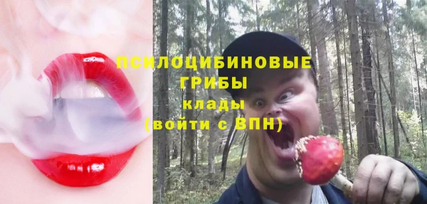 а пвп мука Богородск