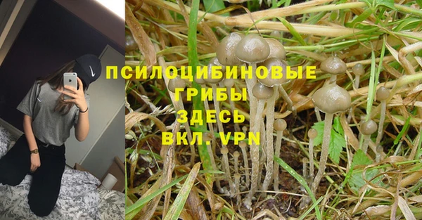 а пвп мука Богородск