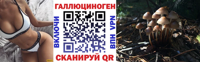 Галлюциногенные грибы Magic Shrooms  продажа наркотиков  Долинск 